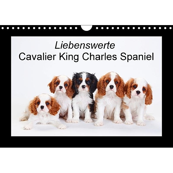 Liebenswerte Cavalier King Charles Spaniel (Wandkalender 2017 DIN A4 quer), Petra Wegner