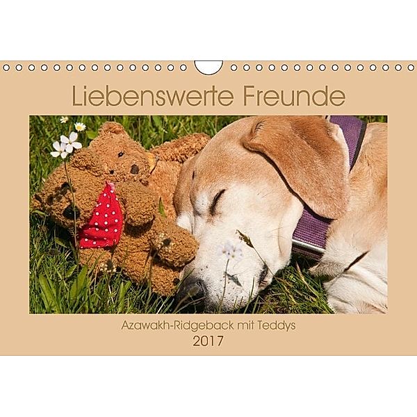 Liebenswerte Freunde - Azawakh-Ridgeback mit Teddys (Wandkalender 2017 DIN A4 quer), Meike Bölts