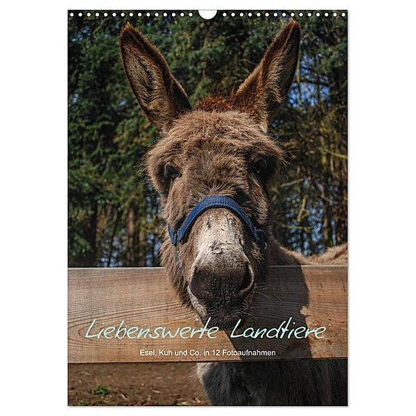 Liebenswerte Landtiere (Wandkalender 2024 DIN A3 hoch), CALVENDO Monatskalender, Jeanette Wüstehube