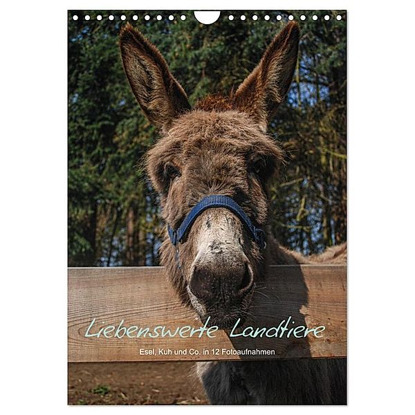 Liebenswerte Landtiere (Wandkalender 2024 DIN A4 hoch), CALVENDO Monatskalender, Jeanette Wüstehube