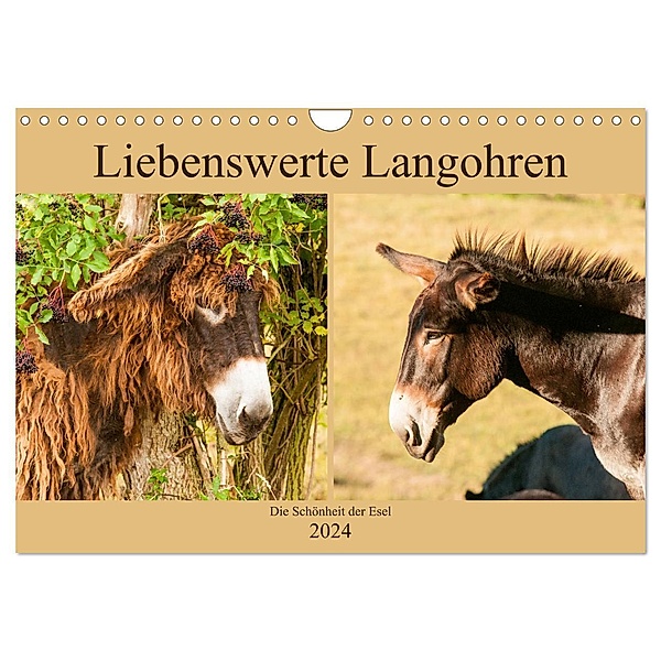 Liebenswerte Langohren - Die Schönheit der Esel (Wandkalender 2024 DIN A4 quer), CALVENDO Monatskalender, Meike Bölts