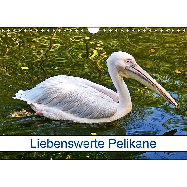 Liebenswerte Pelikane (Wandkalender 2020 DIN A4 quer)