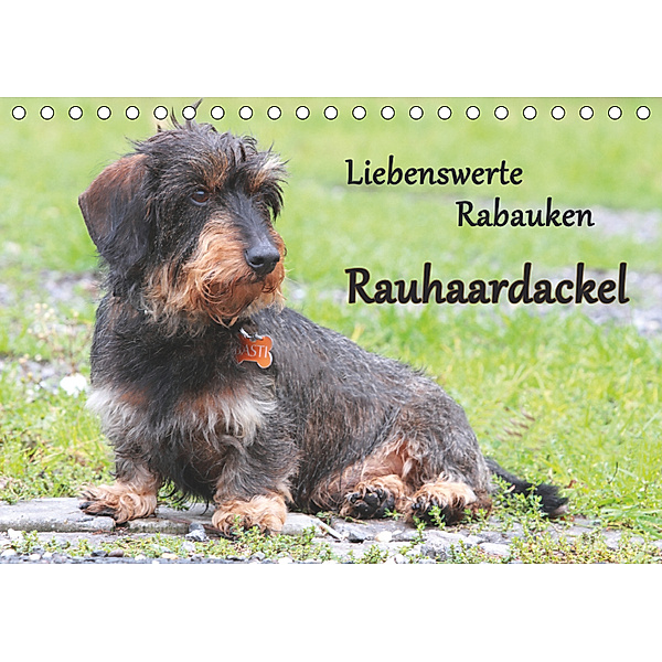 Liebenswerte Rabauken Rauhaardackel / CH-Version (Tischkalender 2019 DIN A5 quer), Barbara Mielewczyk