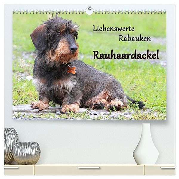 Liebenswerte Rabauken Rauhaardackel / CH-Version (hochwertiger Premium Wandkalender 2024 DIN A2 quer), Kunstdruck in Hochglanz, Barbara Mielewczyk