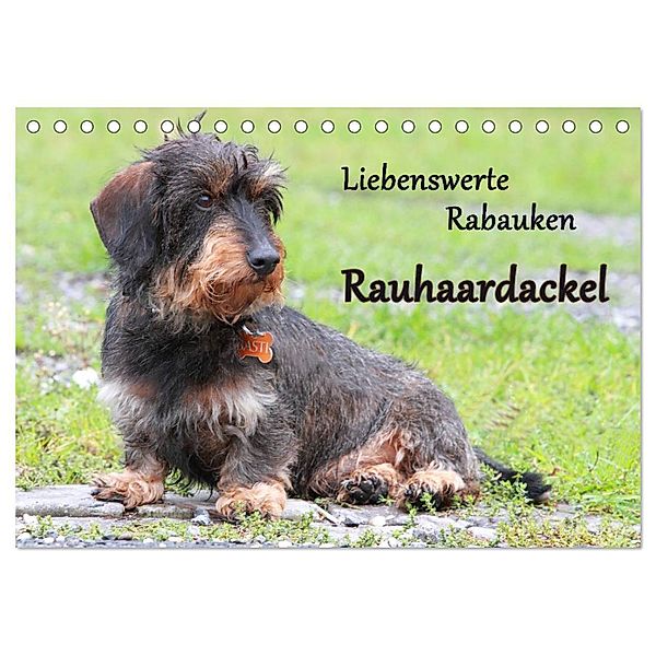 Liebenswerte Rabauken Rauhaardackel / CH-Version (Tischkalender 2024 DIN A5 quer), CALVENDO Monatskalender, Barbara Mielewczyk