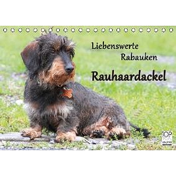 Liebenswerte Rabauken Rauhaardackel (Tischkalender 2015 DIN A5 quer), Barbara Mielewczyk