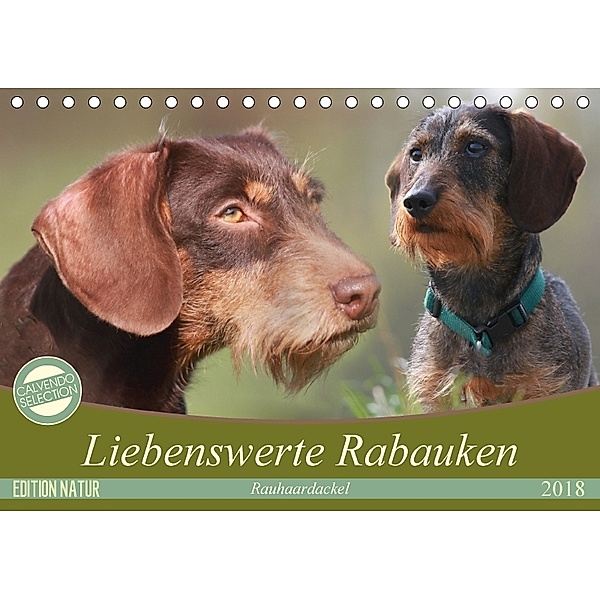 Liebenswerte Rabauken - Rauhaardackel (Tischkalender 2018 DIN A5 quer), Barbara Mielewczyk