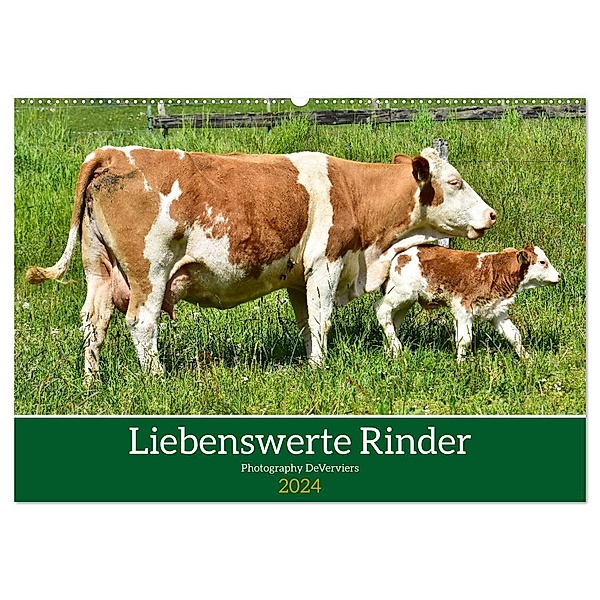 Liebenswerte Rinder (Wandkalender 2024 DIN A2 quer), CALVENDO Monatskalender, Jean-Louis Glineur