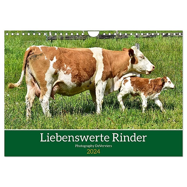Liebenswerte Rinder (Wandkalender 2024 DIN A4 quer), CALVENDO Monatskalender, Jean-Louis Glineur
