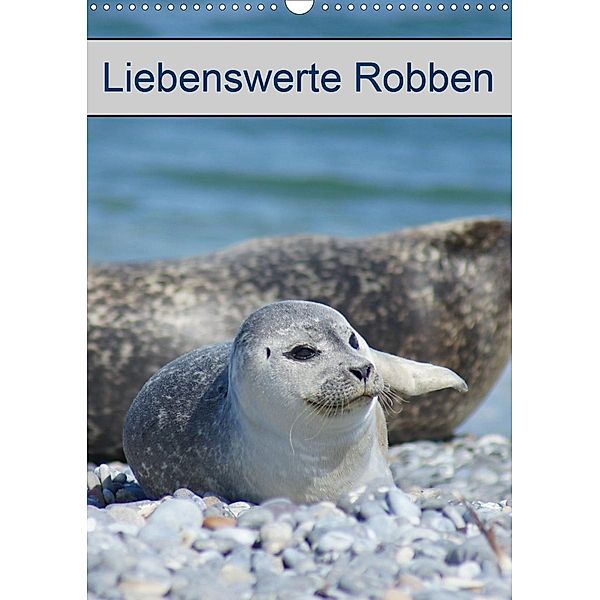 Liebenswerte Robben (Wandkalender 2021 DIN A3 hoch), Kattobello