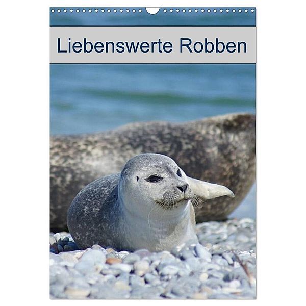 Liebenswerte Robben (Wandkalender 2024 DIN A3 hoch), CALVENDO Monatskalender, Kattobello