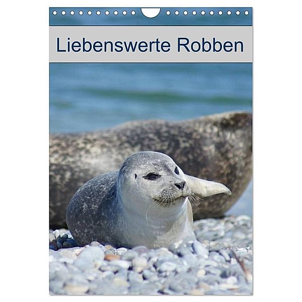 Liebenswerte Robben (Wandkalender 2024 DIN A4 hoch), CALVENDO Monatskalender, Kattobello