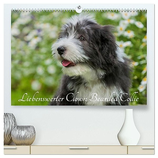 Liebenswerter Clown Bearded Collie (hochwertiger Premium Wandkalender 2025 DIN A2 quer), Kunstdruck in Hochglanz, Calvendo, Sigrid Starick