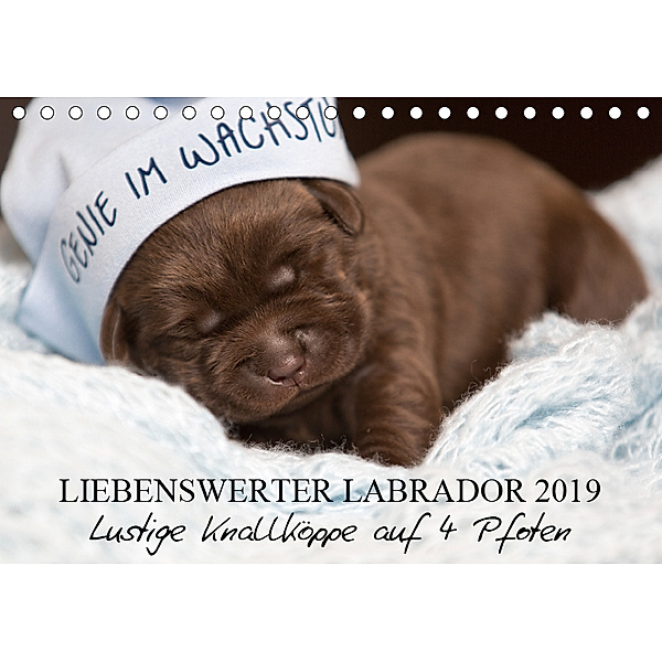 Liebenswerter Labrador 2019 (Tischkalender 2019 DIN A5 quer), tierpfoto.de Annett Mirsberger