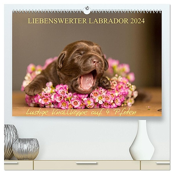 Liebenswerter Labrador 2024 (hochwertiger Premium Wandkalender 2024 DIN A2 quer), Kunstdruck in Hochglanz, Annett Mirsberger