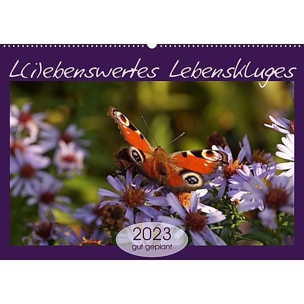 L(i)ebenswertes Lebenskluges (Wandkalender 2023 DIN A2 quer), Flori0