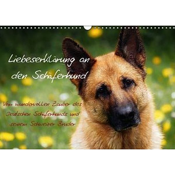 Liebeserklärung an den Schäferhund (Wandkalender 2016 DIN A3 quer), KunstundKultur.org