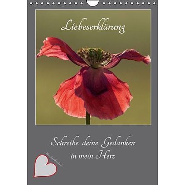 Liebeserklärung - Schreibe deine Gedanken in mein Herz (Wandkalender 2016 DIN A4 hoch), Johann Schörkhuber