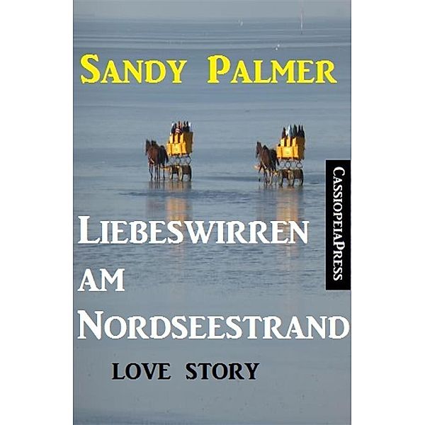 Liebeswirren am Nordseestrand: Love Story, Sandy Palmer
