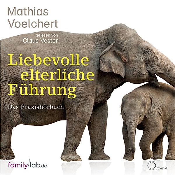 Liebevolle elterliche Führung, 6 Audio-CD, Mathias Voelchert
