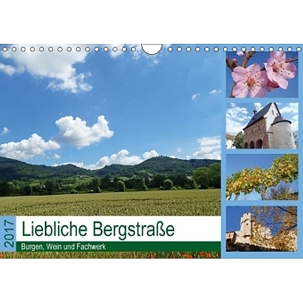 Liebliche Bergstraße - Burgen, Wein und Fachwerk (Wandkalender 2017 DIN A4 quer), Ilona Andersen