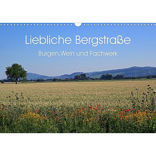 Liebliche Bergstraße - Burgen, Wein und Fachwerk (Wandkalender 2023 DIN A3 quer), Ilona Andersen
