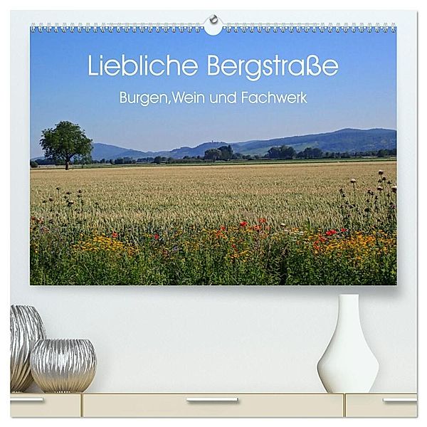 Liebliche Bergstraße - Burgen, Wein und Fachwerk (hochwertiger Premium Wandkalender 2024 DIN A2 quer), Kunstdruck in Hochglanz, Ilona Andersen