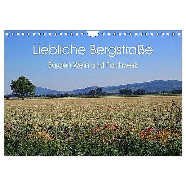 Liebliche Bergstraße - Burgen, Wein und Fachwerk (Wandkalender 2024 DIN A4 quer), CALVENDO Monatskalender, Ilona Andersen