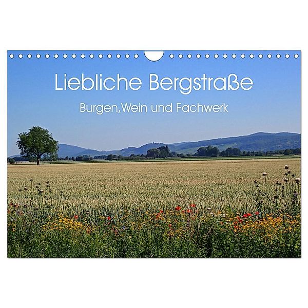 Liebliche Bergstrasse - Burgen, Wein und Fachwerk (Wandkalender 2024 DIN A4 quer), CALVENDO Monatskalender, Ilona Andersen