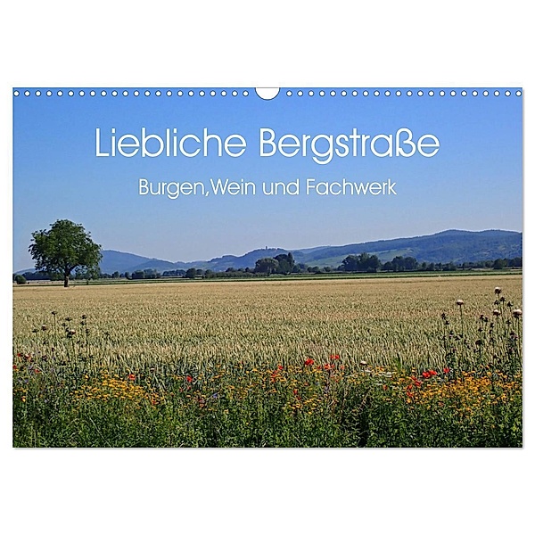 Liebliche Bergstraße - Burgen, Wein und Fachwerk (Wandkalender 2024 DIN A3 quer), CALVENDO Monatskalender, Ilona Andersen
