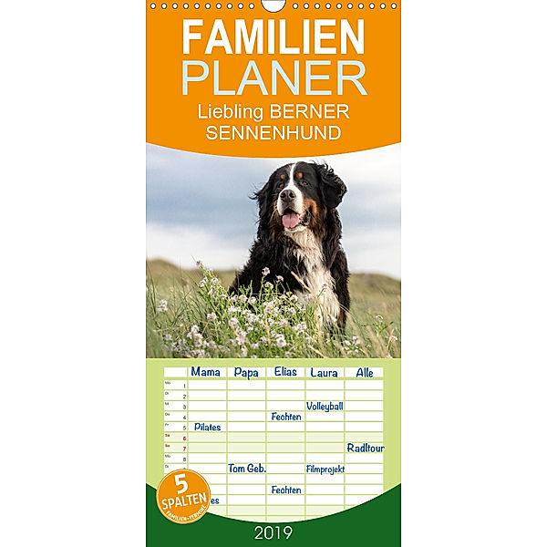 Liebling BERNER SENNENHUND - Familienplaner hoch (Wandkalender 2019 , 21 cm x 45 cm, hoch), Annett Mirsberger