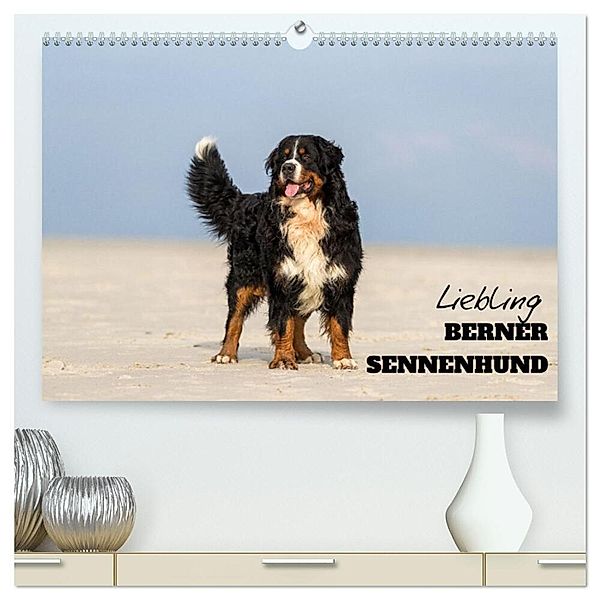 Liebling BERNER SENNENHUND (hochwertiger Premium Wandkalender 2024 DIN A2 quer), Kunstdruck in Hochglanz, www.annettmirsberger.de, Annett Mirsberger