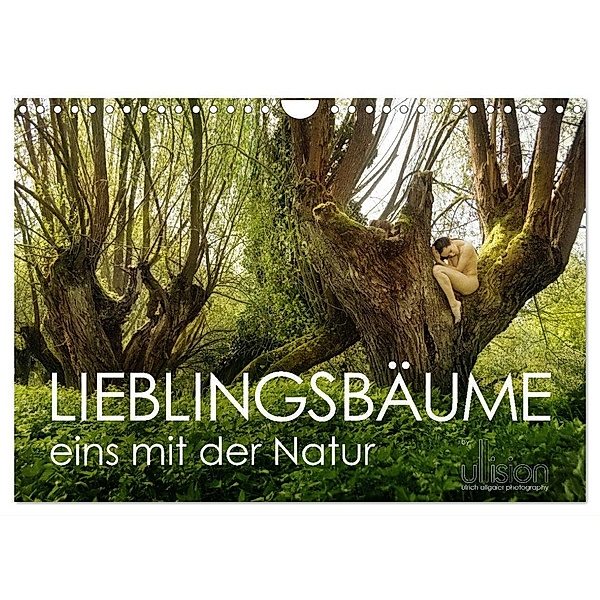Lieblingsbäume - eins mit der Natur (Wandkalender 2025 DIN A4 quer), CALVENDO Monatskalender, Calvendo, Ulrich Allgaier (Ullision)