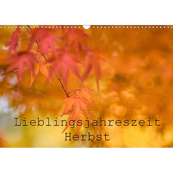 Lieblingsfarbe Herbst (Wandkalender 2019 DIN A3 quer), Kathleen Tjarks