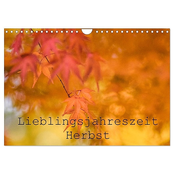 Lieblingsfarbe Herbst (Wandkalender 2024 DIN A4 quer), CALVENDO Monatskalender, Kathleen Tjarks