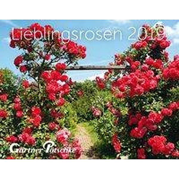 Lieblingsrosen 2019