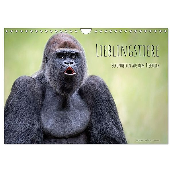 Lieblingstiere - Schönheiten aus dem Tierreich (Wandkalender 2024 DIN A4 quer), CALVENDO Monatskalender, Bettina Dittmann