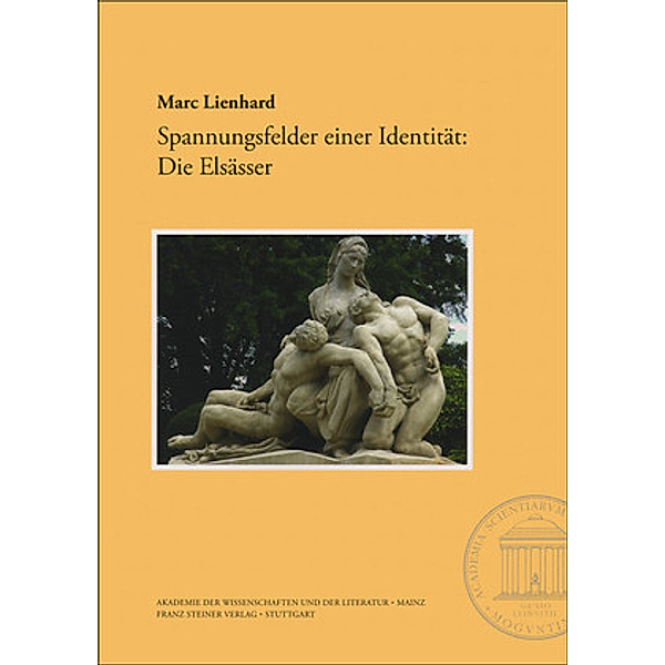 Lienhard, M: Spannungsfelder einer Identität, Marc Lienhard