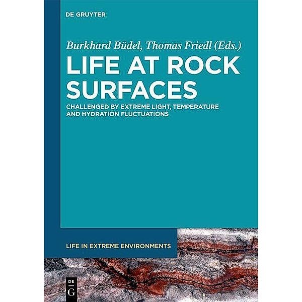 Life at rock surfaces