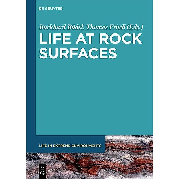 Life at Rock Surfaces