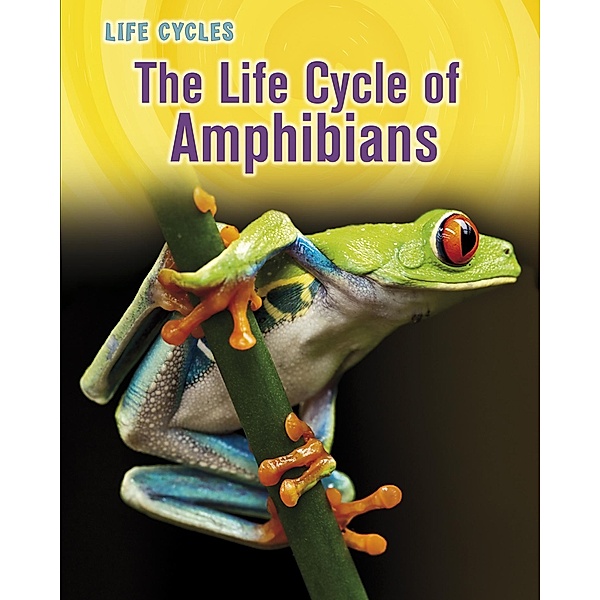 Life Cycle of Amphibians / Raintree Publishers, Darlene R. Stille