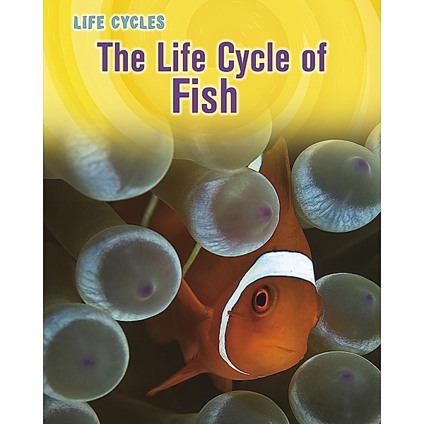 Life Cycle of Fish / Raintree Publishers, Darlene R. Stille