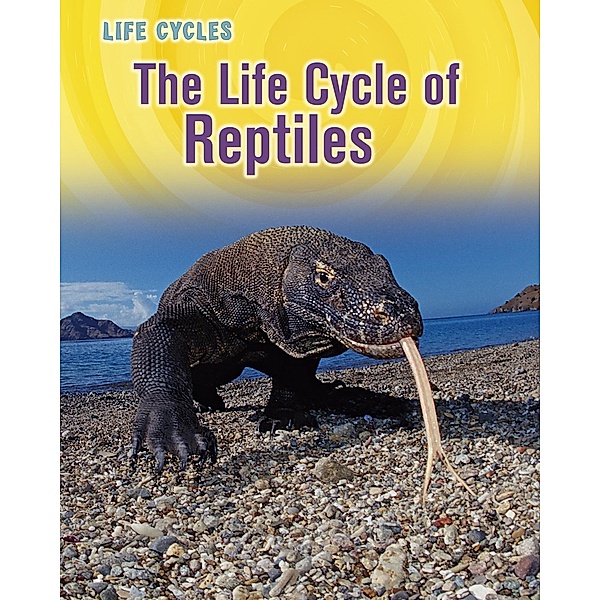Life Cycle of Reptiles / Raintree Publishers, Darlene R. Stille
