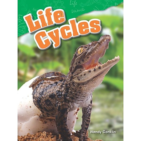 Life Cycles, Wendy Conklin