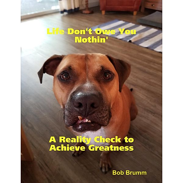 Life Don't Owe You Nothin', Bob Brumm
