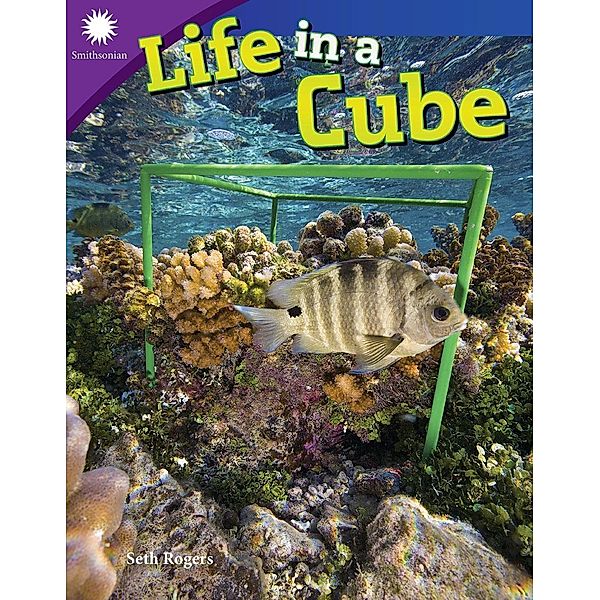 Life in a Cube, Seth Rogers