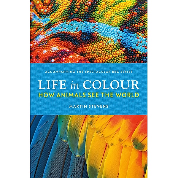 Life in Colour, Martin Stevens