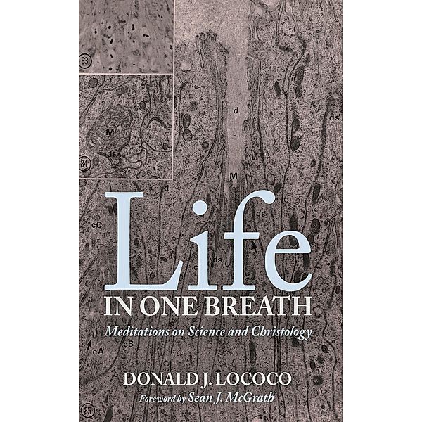 Life in One Breath, Donald J. Lococo