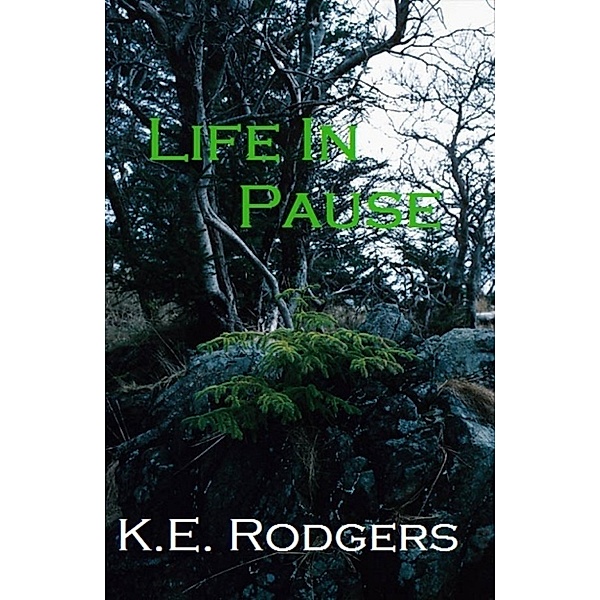 Life In Pause, K.E. Rodgers