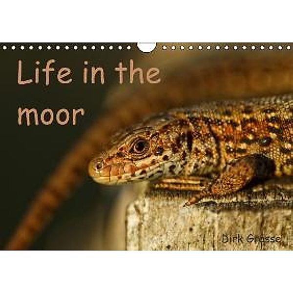 Life in the moor / UK-Version (Wall Calendar 2015 DIN A4 Landscape), Dirk Grasse